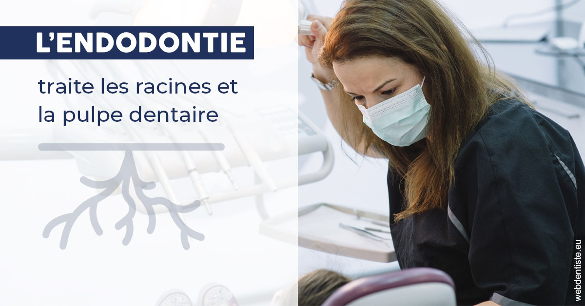 https://dr-claude-philippe.chirurgiens-dentistes.fr/L'endodontie 1