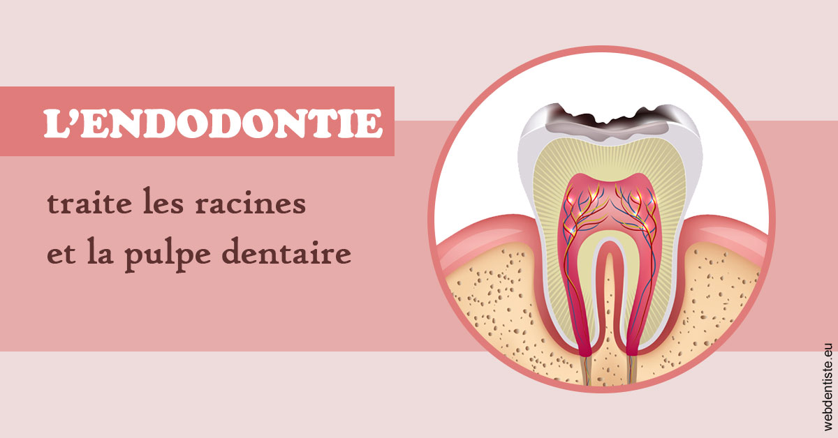 https://dr-claude-philippe.chirurgiens-dentistes.fr/L'endodontie 2