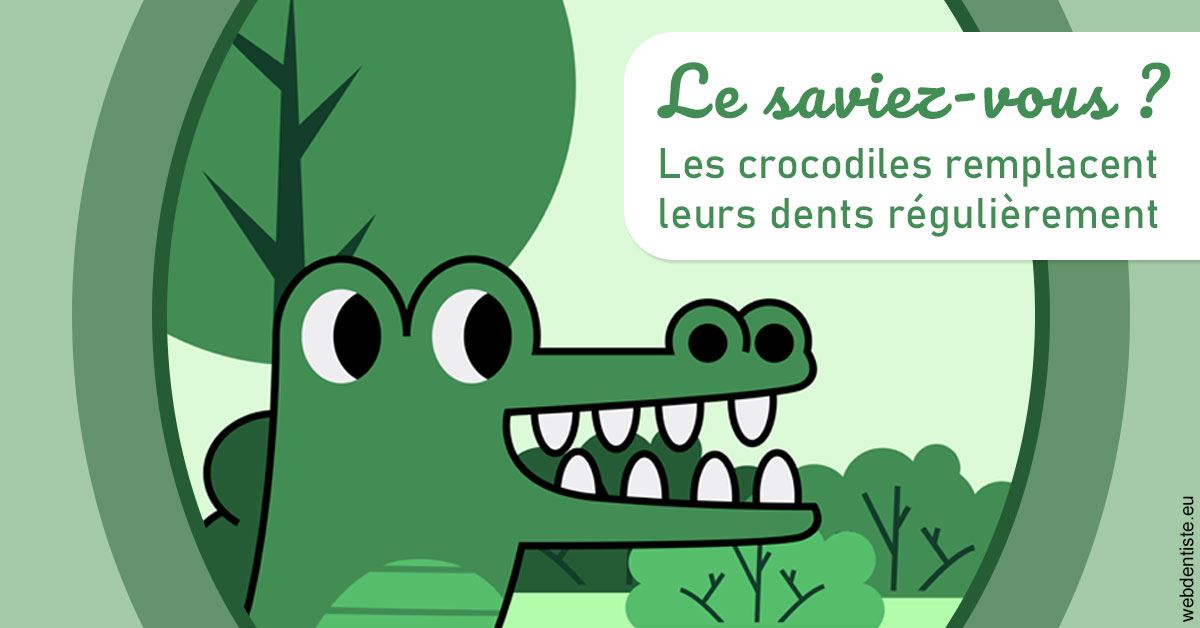 https://dr-claude-philippe.chirurgiens-dentistes.fr/Crocodiles 2