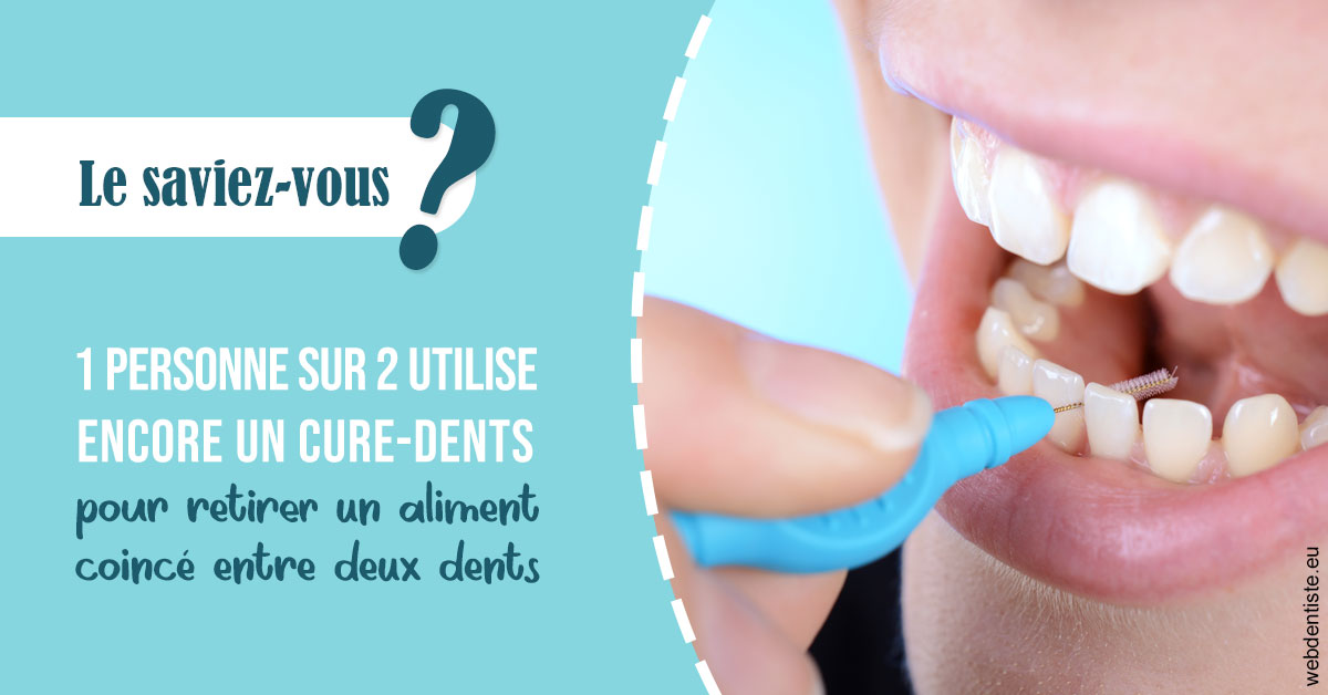 https://dr-claude-philippe.chirurgiens-dentistes.fr/Cure-dents 1