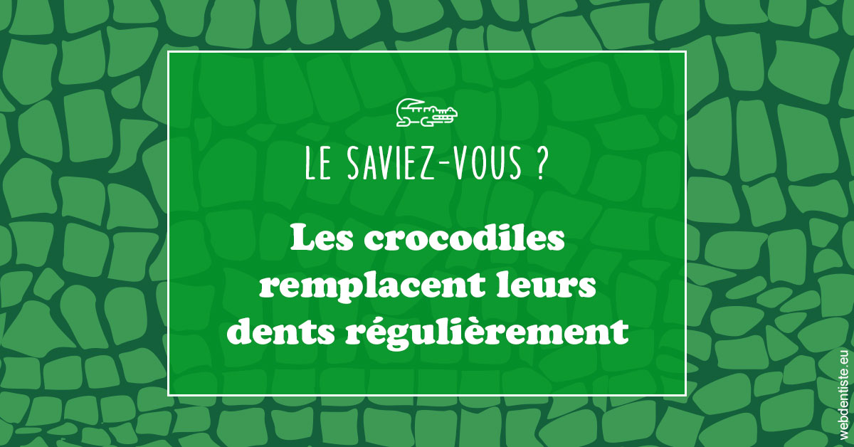 https://dr-claude-philippe.chirurgiens-dentistes.fr/Crocodiles 1