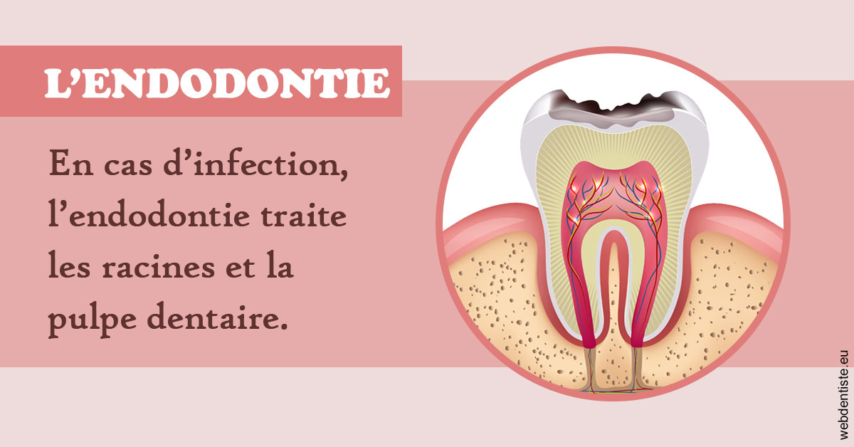 https://dr-claude-philippe.chirurgiens-dentistes.fr/L'endodontie 2